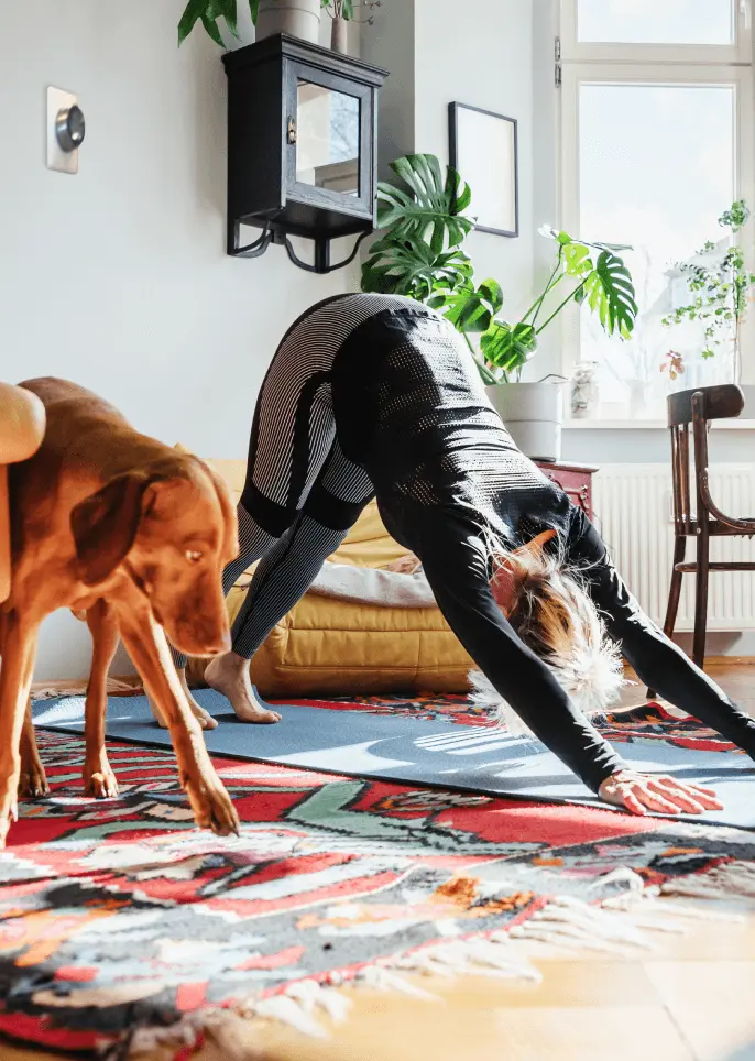 Woman does yoga with her dog in a brightly lit room. A smart thermostat is on the wall. Attic Insulation: Up to $1,000*. Smart Thermostat: $75*. Solar: up to $10,000*. Appliances: up to $200*. Heatpumps: up to $12,000